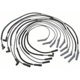 Purchase Top-Quality Tailored Resistor Ignition Wire Set by BLUE STREAK (HYGRADE MOTOR) - 6934 pa3