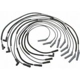 Purchase Top-Quality Tailored Resistor Ignition Wire Set by BLUE STREAK (HYGRADE MOTOR) - 6934 pa5