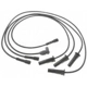Purchase Top-Quality Tailored Resistor Ignition Wire Set by BLUE STREAK (HYGRADE MOTOR) - 7495 pa2
