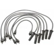 Purchase Top-Quality Tailored Resistor Ignition Wire Set by BLUE STREAK (HYGRADE MOTOR) - 7656 pa2