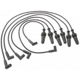 Purchase Top-Quality Tailored Resistor Ignition Wire Set by BLUE STREAK (HYGRADE MOTOR) - 7666 pa2