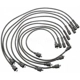 Purchase Top-Quality Tailored Resistor Ignition Wire Set by BLUE STREAK (HYGRADE MOTOR) - 7829 pa2