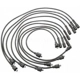 Purchase Top-Quality Tailored Resistor Ignition Wire Set by BLUE STREAK (HYGRADE MOTOR) - 7829 pa4