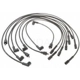 Purchase Top-Quality Tailored Resistor Ignition Wire Set by BLUE STREAK (HYGRADE MOTOR) - 7830 pa2