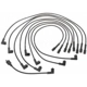Purchase Top-Quality Tailored Resistor Ignition Wire Set by BLUE STREAK (HYGRADE MOTOR) - 7831 pa7