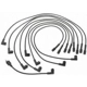 Purchase Top-Quality Tailored Resistor Ignition Wire Set by BLUE STREAK (HYGRADE MOTOR) - 7831 pa9