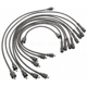 Purchase Top-Quality Tailored Resistor Ignition Wire Set by BLUE STREAK (HYGRADE MOTOR) - 7834 pa2