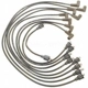 Purchase Top-Quality Tailored Resistor Ignition Wire Set by BLUE STREAK (HYGRADE MOTOR) - 7842 pa2