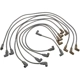 Purchase Top-Quality BLUE STREAK (HYGRADE MOTOR) - 7853 - Tailored Resistor Ignition Wire Set pa3