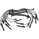 Purchase Top-Quality Tailored Resistor Ignition Wire Set by BLUE STREAK (HYGRADE MOTOR) - 7884 pa2