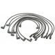 Purchase Top-Quality Tailored Resistor Ignition Wire Set by BLUE STREAK (HYGRADE MOTOR) - 9878 pa2