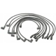 Purchase Top-Quality Tailored Resistor Ignition Wire Set by BLUE STREAK (HYGRADE MOTOR) - 9878 pa4