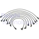 Purchase Top-Quality Tailored Resistor Ignition Wire Set by DELPHI - XS10222 pa5