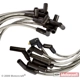 Purchase Top-Quality Tailored Resistor Ignition Wire Set by MOTORCRAFT - WR4050 pa1