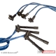 Purchase Top-Quality Tailored Resistor Ignition Wire Set by MOTORCRAFT - WR5875 pa3