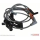 Purchase Top-Quality Tailored Resistor Ignition Wire Set by MOTORCRAFT - WR6083 pa5
