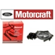 Purchase Top-Quality Tailored Resistor Ignition Wire Set by MOTORCRAFT - WR6096 pa8