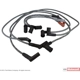Purchase Top-Quality Tailored Resistor Ignition Wire Set by MOTORCRAFT - WR6117 pa2