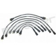 Purchase Top-Quality Tailored Resistor Ignition Wire Set by WALKER PRODUCTS - 924-1260 pa2