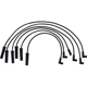Purchase Top-Quality Tailored Resistor Ignition Wire Set by WALKER PRODUCTS - 924-1331 pa1