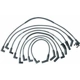 Purchase Top-Quality Tailored Resistor Ignition Wire Set by WALKER PRODUCTS - 924-1332 pa2