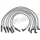 Purchase Top-Quality Tailored Resistor Ignition Wire Set by WALKER PRODUCTS - 924-1333 pa2