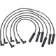 Purchase Top-Quality Tailored Resistor Ignition Wire Set by WALKER PRODUCTS - 924-1358 pa1