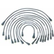 Purchase Top-Quality Tailored Resistor Ignition Wire Set by WALKER PRODUCTS - 924-1398 pa2