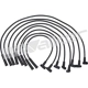 Purchase Top-Quality Tailored Resistor Ignition Wire Set by WALKER PRODUCTS - 924-1406 pa3
