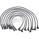 Purchase Top-Quality Tailored Resistor Ignition Wire Set by WALKER PRODUCTS - 924-1406 pa5