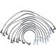 Purchase Top-Quality Tailored Resistor Ignition Wire Set by WALKER PRODUCTS - 924-1413 pa1