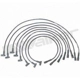Purchase Top-Quality Tailored Resistor Ignition Wire Set by WALKER PRODUCTS - 924-1414 pa2
