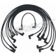 Purchase Top-Quality Tailored Resistor Ignition Wire Set by WALKER PRODUCTS - 924-1424 pa1