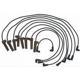 Purchase Top-Quality Tailored Resistor Ignition Wire Set by WALKER PRODUCTS - 924-1432 pa1