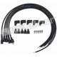Purchase Top-Quality Tailored Resistor Ignition Wire Set by WALKER PRODUCTS - 924-1550 pa2
