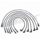 Purchase Top-Quality Tailored Resistor Ignition Wire Set by WALKER PRODUCTS - 924-1609 pa2