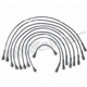 Purchase Top-Quality Tailored Resistor Ignition Wire Set by WALKER PRODUCTS - 924-1658 pa2