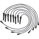 Purchase Top-Quality WALKER PRODUCTS - 924-1660 - Spark Plug Wire Set pa1