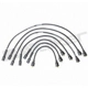 Purchase Top-Quality Tailored Resistor Ignition Wire Set by WALKER PRODUCTS - 924-1664 pa1