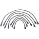 Purchase Top-Quality Tailored Resistor Ignition Wire Set by WALKER PRODUCTS - 924-1664 pa2