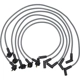 Purchase Top-Quality Tailored Resistor Ignition Wire Set by WALKER PRODUCTS - 924-1801 pa2
