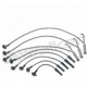 Purchase Top-Quality Tailored Resistor Ignition Wire Set by WALKER PRODUCTS - 924-1802A pa1