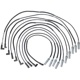 Purchase Top-Quality Tailored Resistor Ignition Wire Set by WALKER PRODUCTS - 924-1839 pa1