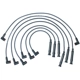 Purchase Top-Quality Tailored Resistor Ignition Wire Set by WALKER PRODUCTS - 924-1862 pa1