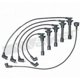 Purchase Top-Quality Tailored Resistor Ignition Wire Set by WALKER PRODUCTS - 924-1866 pa1