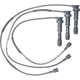 Purchase Top-Quality Tailored Resistor Ignition Wire Set by WALKER PRODUCTS - 924-1890 pa1