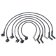Purchase Top-Quality Tailored Resistor Ignition Wire Set by WALKER PRODUCTS - 924-1939 pa1