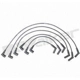Purchase Top-Quality Tailored Resistor Ignition Wire Set by WALKER PRODUCTS - 924-2001 pa1