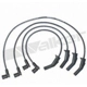 Purchase Top-Quality Tailored Resistor Ignition Wire Set by WALKER PRODUCTS - 924-2005 pa1