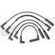 Purchase Top-Quality Tailored Resistor Ignition Wire Set by WALKER PRODUCTS - 924-2025 pa2